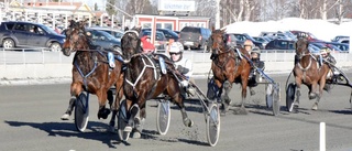 Piriac skrällde i Boden