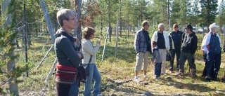 Kulturvandring i Gallaurområdet