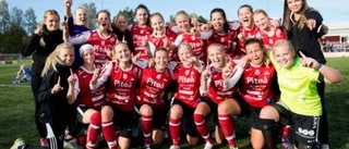 Seger i seriefinalen för Piteås andralag