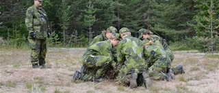 Högtflygande planer i skogen