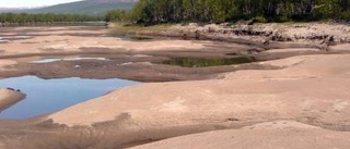 Naturkrafter härjade vilt i älven