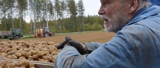 "Det här är som att lägga på en död hand över området"