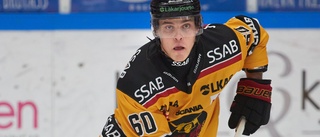 Honka indragen i KHL-trejd • Därför missade Luleåbackarna förra matchen