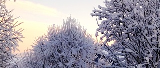 Kall start på helgen • Målilla hade lägst temperatur i hela Götaland • Då kan det bli mildare luft