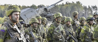 KD:s förslag: Östergötland bör få en egen armébrigad 