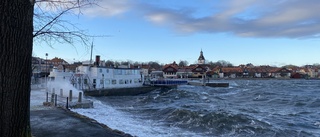 Kraftiga stormvindar drar in under helgen • Eon räknar med strömavbrott • Så förbereder du dig