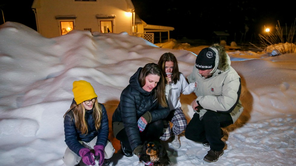 Det lugna livet vid skogsbrynet kan förändras i framtiden för familjen Dyrvold. Från vänster Ebba Dyrvold, 10, Lina Dyrvold, Meja Dyrvold, 12, och Markus Dyrvold. Saknas gör Josefina Dyrvold, 20. Längst fram hunden Bella.