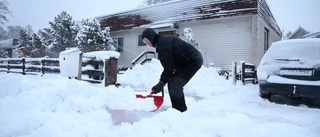 Efter solglimt – nu kommer nästa snölass