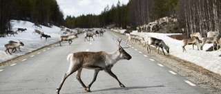 Varning: renar på vägen