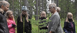 Naturens betydelse för hälsan i fokus