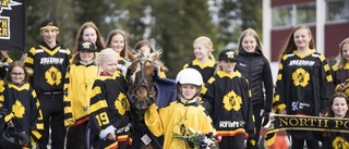 Hemmaseger i Ponnykampen