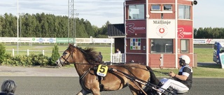 Finsk spik i första avdelningen