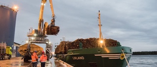 Trycket på Kalix hamn ökar – nu krävs utbyggnad • "Läget akut"