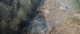 Brand i träd och gräs