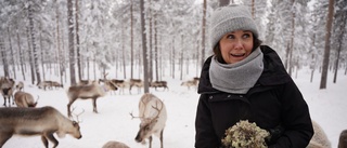 MP-toppen på besök • Fick mata renar och besöka Kallak • "Så stor skada för något decenniums vinst är inte hållbart".