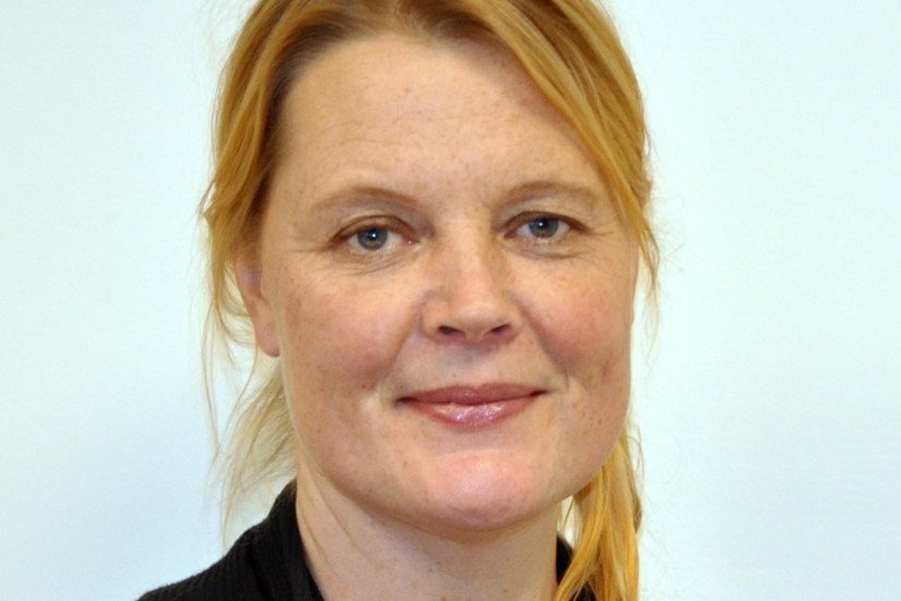 Veronica Snoder är medicinskt ledningsansvarig på Visby lasarett. Hon vittnar om två år av ovisshet, ständig förändring och en sliten personal.