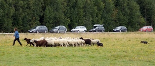 Skördemarknad och bonnakalas i Örträsk