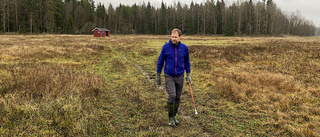 Meteoriten i Ådalen har utlöst ägarbråk 