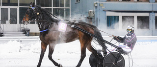 Amatören och proffsets sköna dubbel