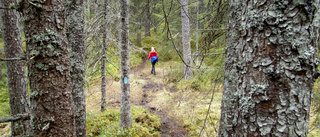 Dumsnål bantning av naturvården