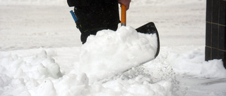 Solskenshistoria i snöovädret  