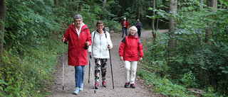 Walk and talk – coronasäker senioraktivitet