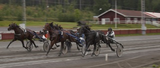 Favoritfall och hög V64-utdelning i Skellefteå