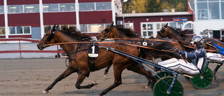 Skellefteåtravet plockar bort vinterdagarna nästa år