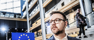 EU:s jordbruksmål är mer nyttigt än korvstoppning