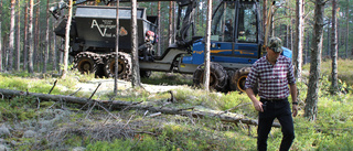 Askan och näringen återförs till skogen 