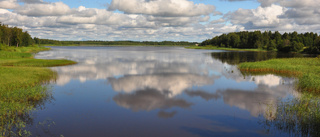 Läsarbilden: Björkskatafjärden