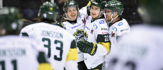 Klart: Så blir nya hockeyallsvenskan