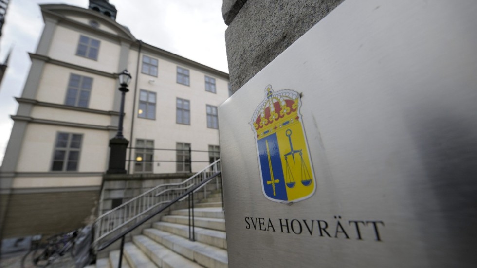 Svea hovrätt anser att vållande till kroppsskada, som kvinnan gjort sig skyldig till, är ett grovt brott.