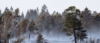 Larm om gräsbrand – men räddningstjänsten hittade inget