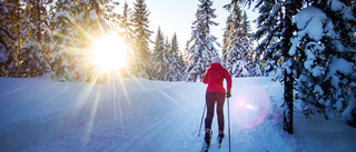 Förstör inte Grisbergets fina skidspår!