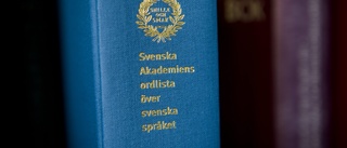 Rättstavning och särskrivning – ett problem hos EK?