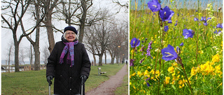 Hon har ett blommigt förslag: "Det är marken jag vill förändra"