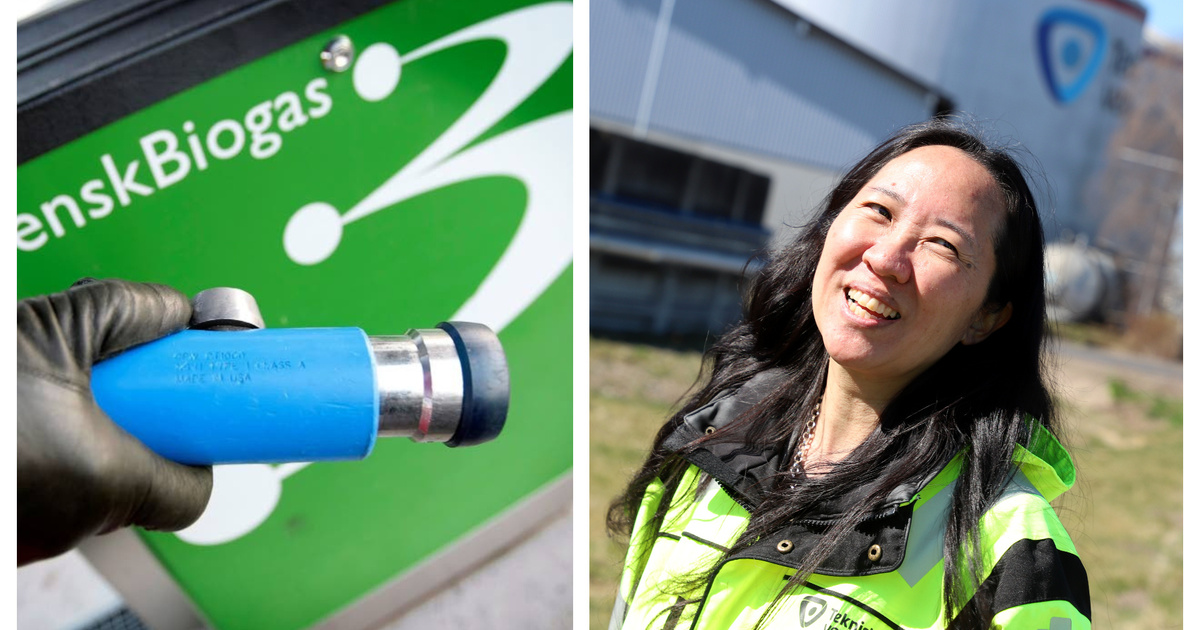 Bilister fick tidig julklapp – priset sänktes med 5,25 kronor