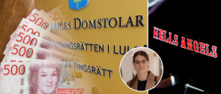 13 personer anklagas för att ha lurat till sig över 6,5 miljoner