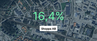 Shoppa AB redovisar: Slår branschsnittet