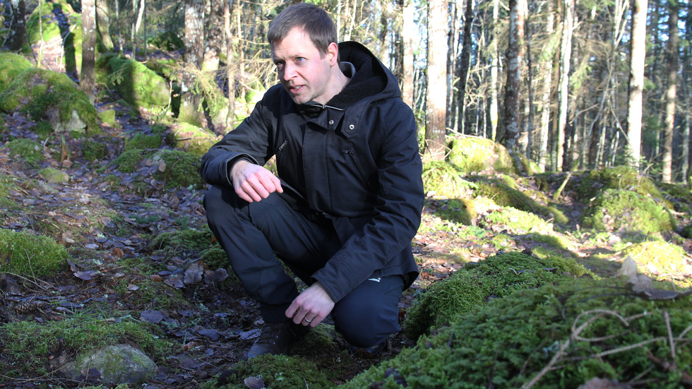 Thomas Weissenberg är skogsförvaltare på Linköpings kommun. Det var han som hittade de första bombmurklorna i Linköping på fem år.