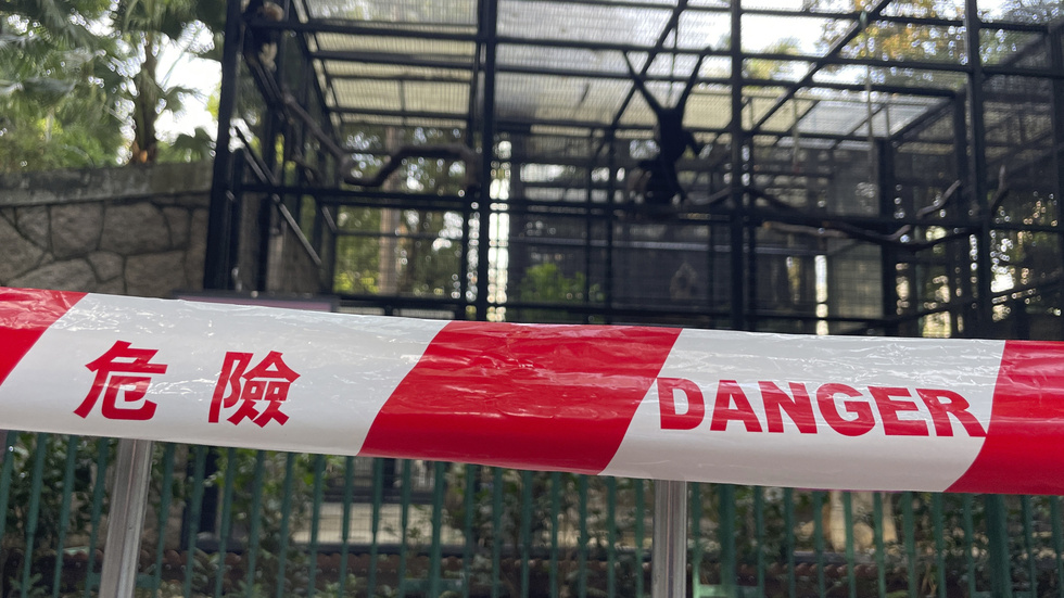 Avspärrningar runt apornas inhägnad på Hongkongs djurpark efter flera oförklarliga dödsfall.