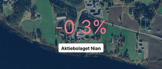 Aktiebolaget Nian: Här är senaste årsredovisningen