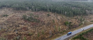 Planen: Åtta vindkraftverk kan byggas nära stan