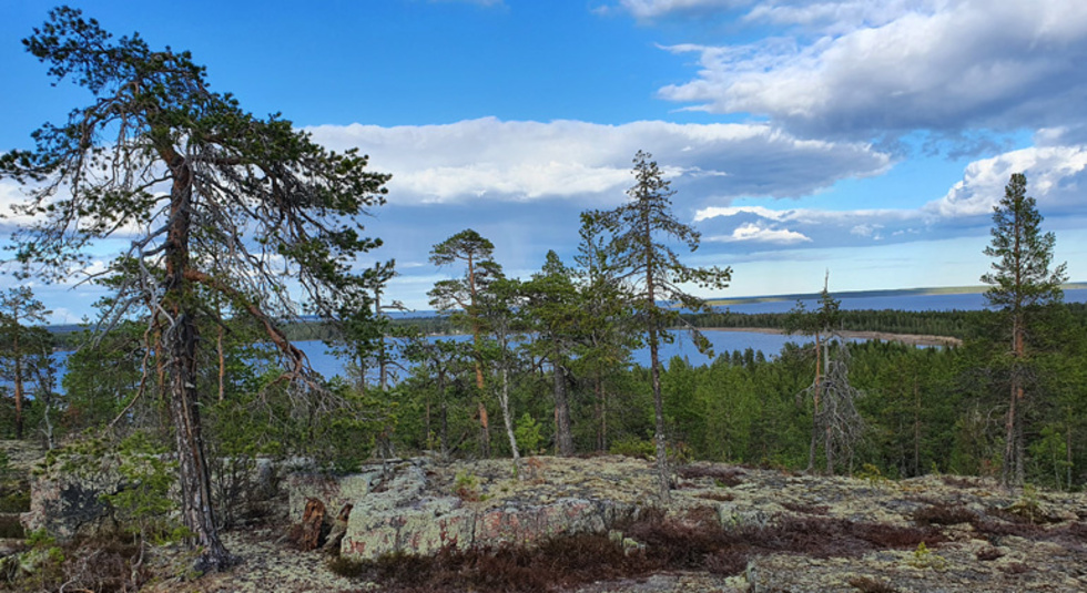 Från toppen av Degerberget ser man ut över Piteå skärgård.