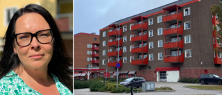 Här sänks tröskeln – så ska Igelkotten förvandlas