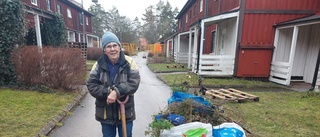 Trädgårdsamatörerna räddar plantor