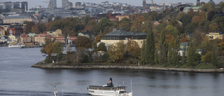 Nordamerikansk pippi troligen siktad i Stockholm