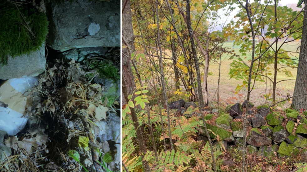Till vänster syns paketet som en polishund spårade upp i skogen vid Västralund, i mitten av oktober. Två Västerviksbor som fått löfte om att köpa en mängd, döms också nu i samma dom.