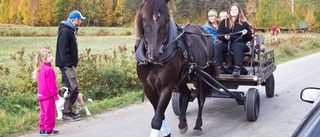 Djuren lockade besökare till 4H-dagen